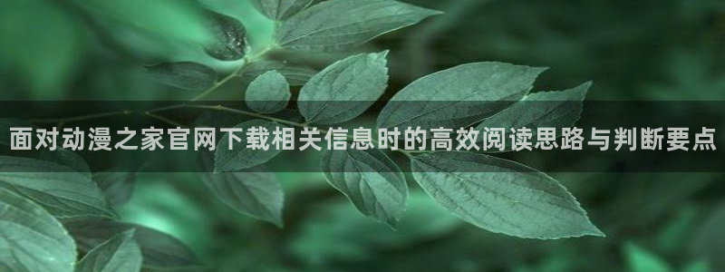 热播动漫推荐