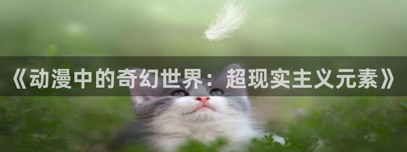 变态动漫推荐