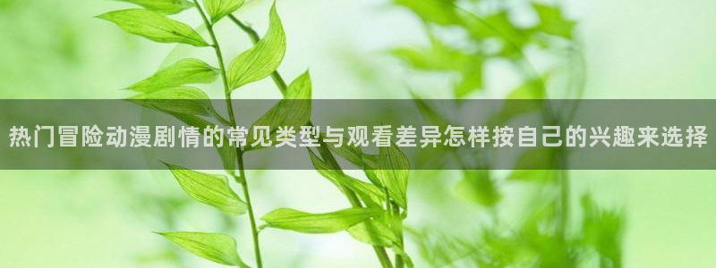 动漫之家官网入口：热门冒险动漫剧情的常见类型与观看差异怎样按自己的兴趣来选择