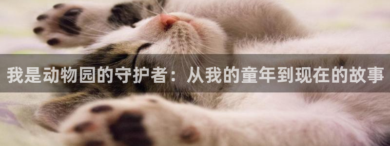 动漫艳母全集:我是动物园的守护者:从我的童年到现在的故事