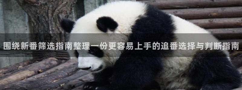 治疗师动漫:围绕新番筛选指南整理一份更容易上手的追番选择与判断指南