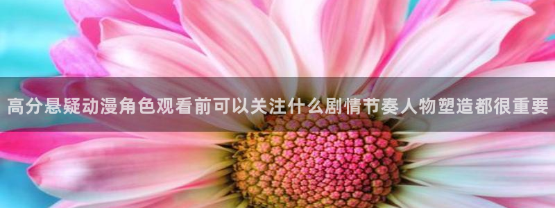 动漫岛网站官网:高分悬疑动漫角色观看前可以关注什么剧情节奏人物塑造都很重要