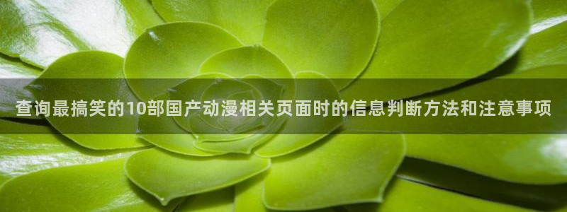 动漫共和国官网:查询最搞笑的10部国产动漫相关页面时的信息判断方法和注意事项