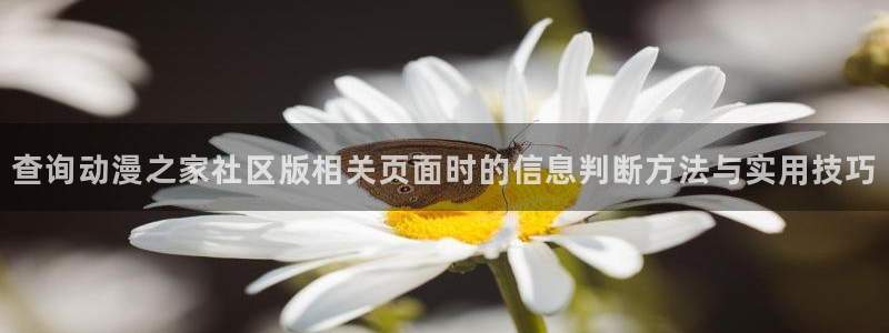 91在线观看动漫:查询动漫之家社区版相关页面时的信息判断方法与实用技巧